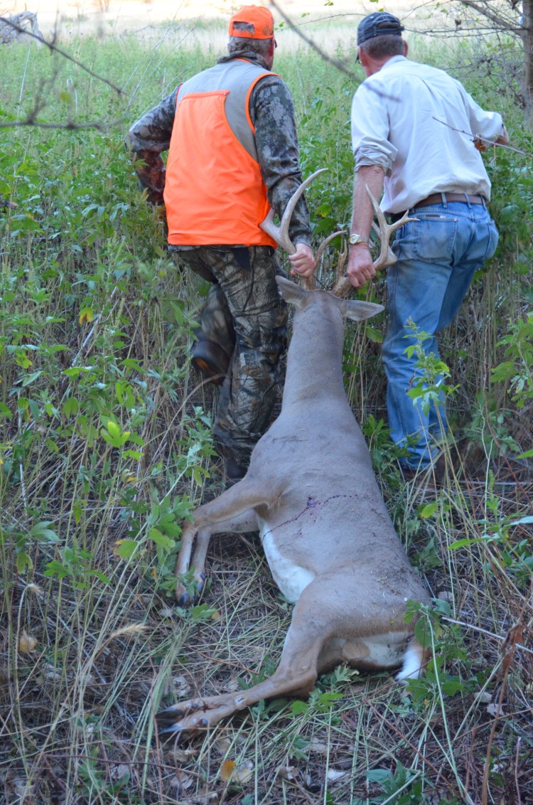 adam field buck 2011