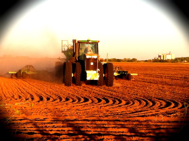 Trying to get the wheat in before the baby's arrival.