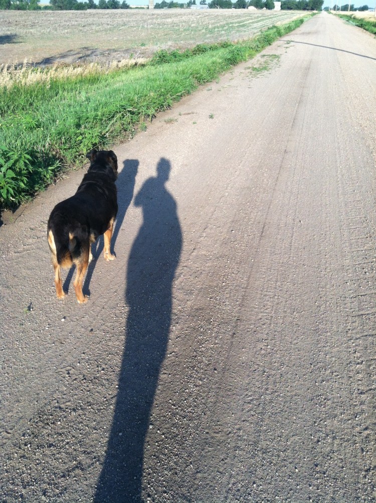 The more I walked, the bigger I got!