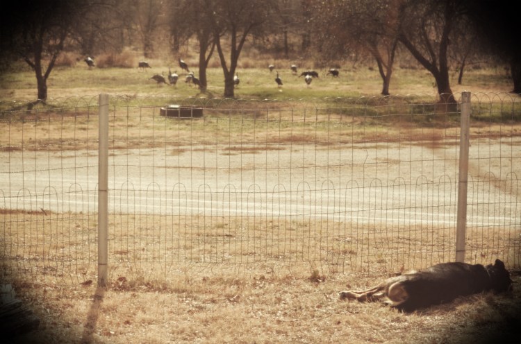 Caught in the act, sleeping on the job!