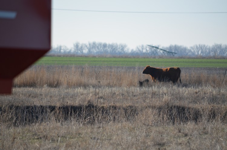 Might as well get up now that you've been discovered.