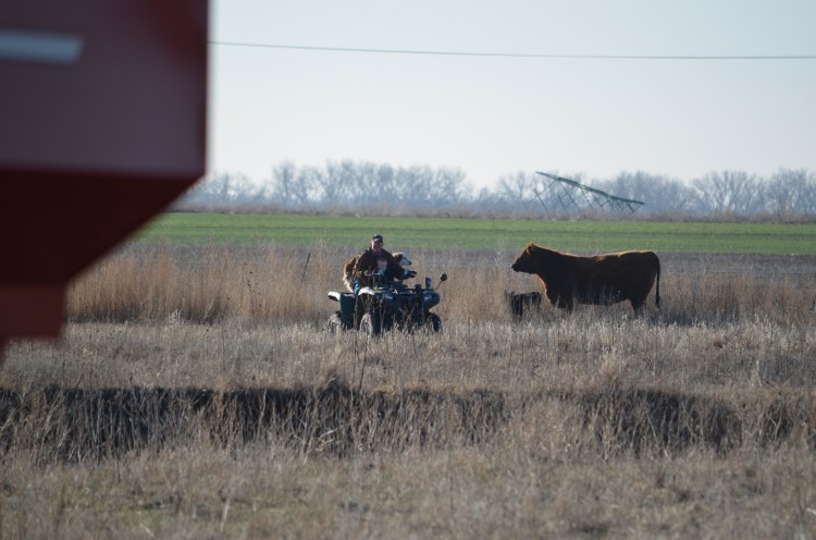 Thanks for the help.