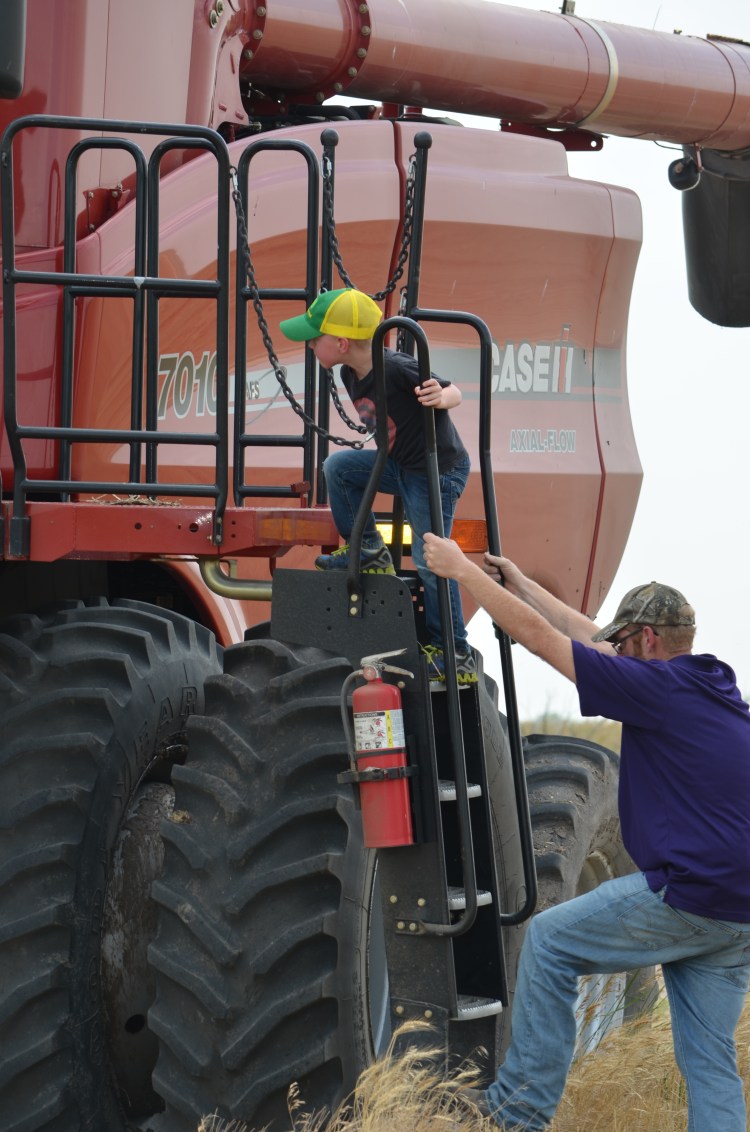 Come on, Uncle Adam, let's go cut some wheat!