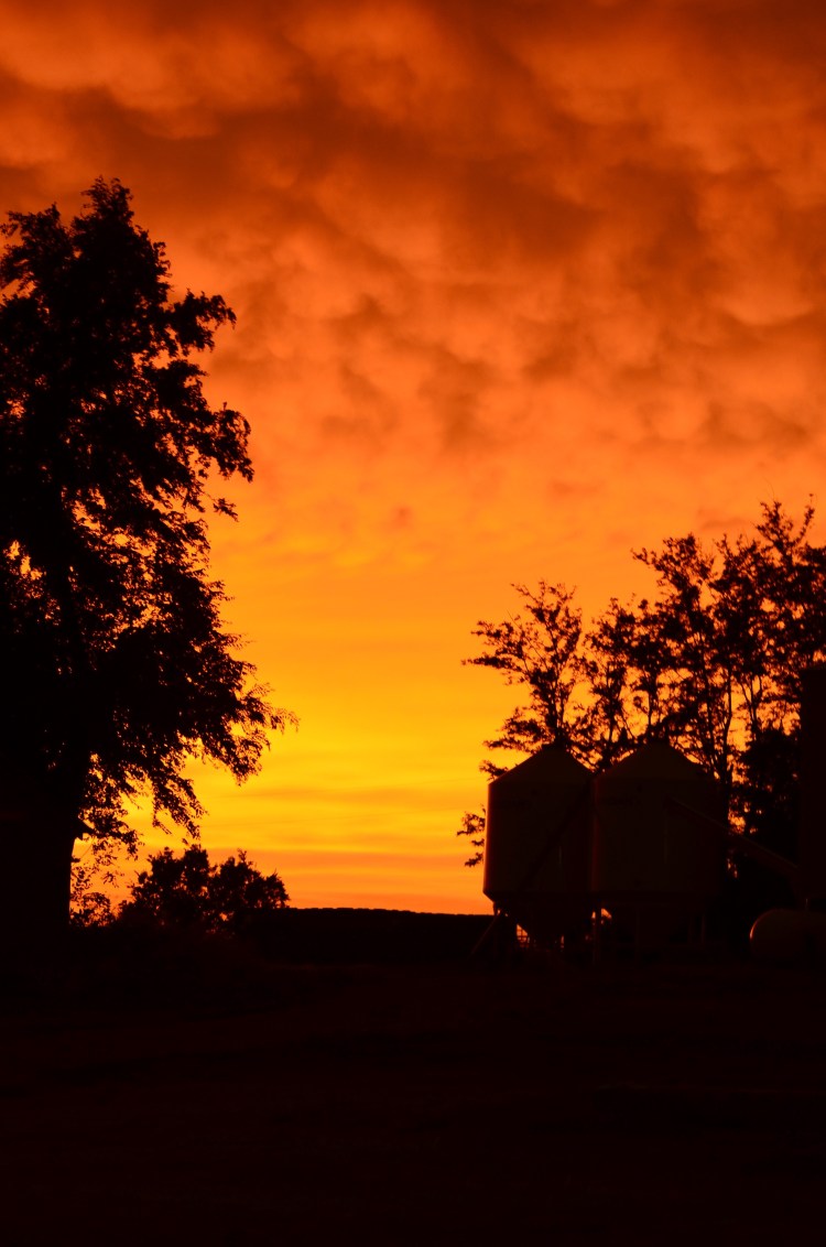 The calm after the storm.