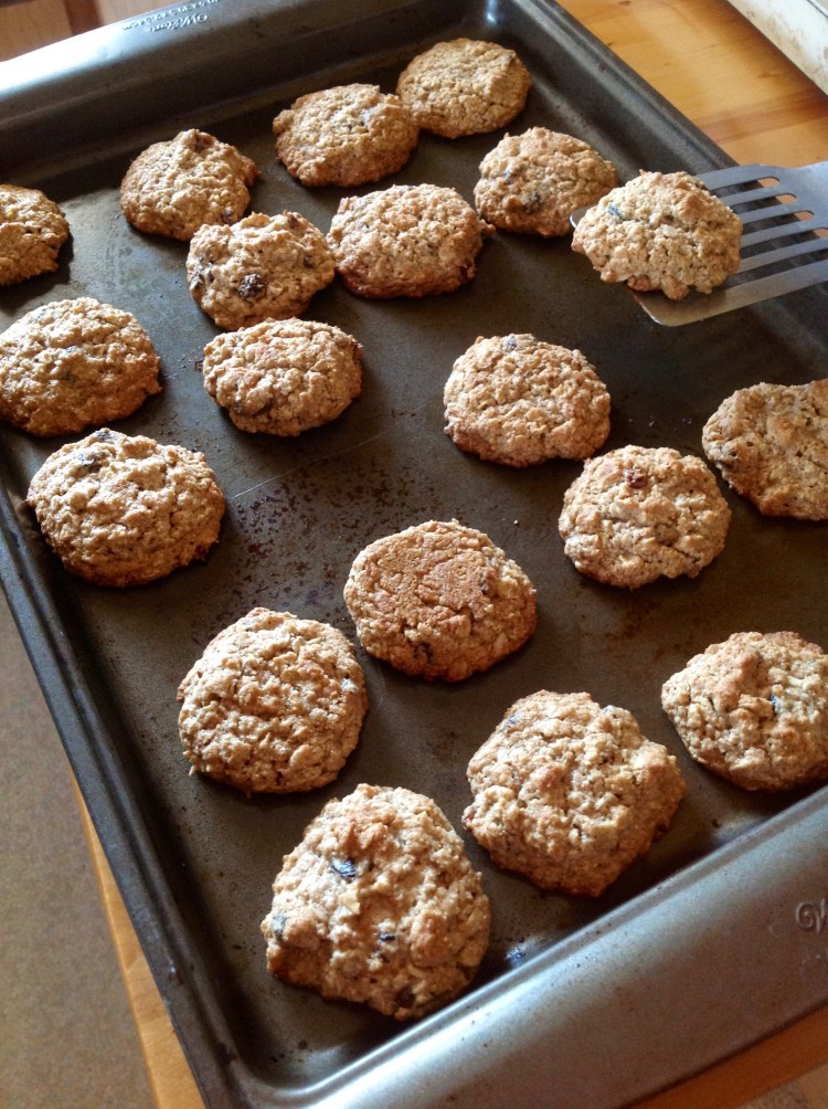 The first batch of oatmeal raisin cookies.