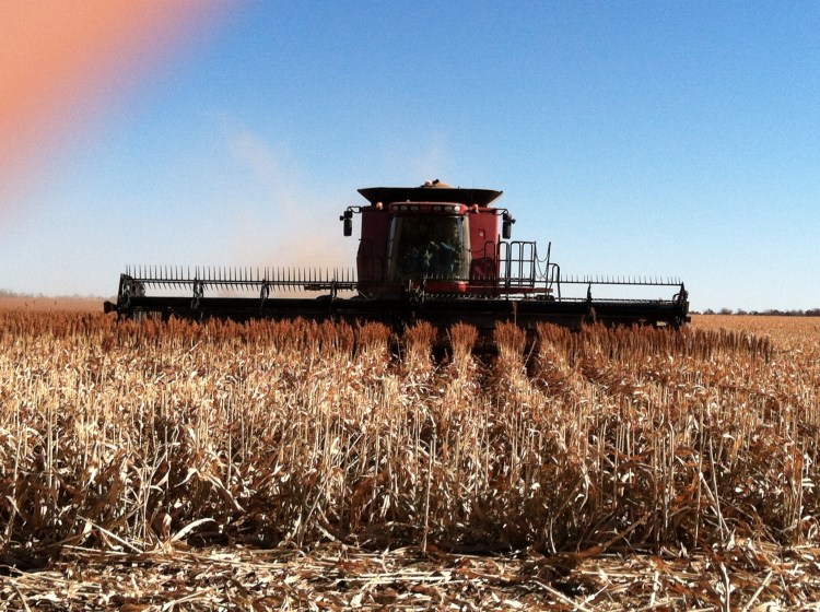 Just a few more rows to go!