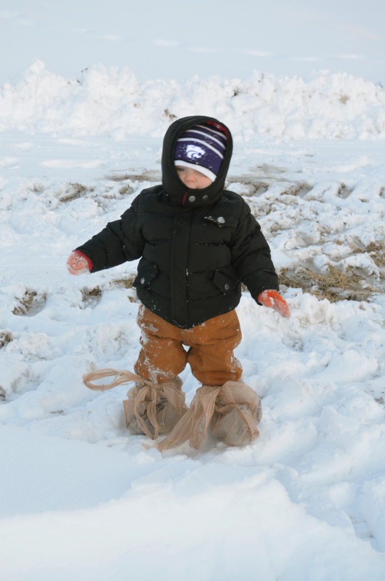 My name is Banks.  My parents didn't think I needed snow shoes this year.  Now look at me.