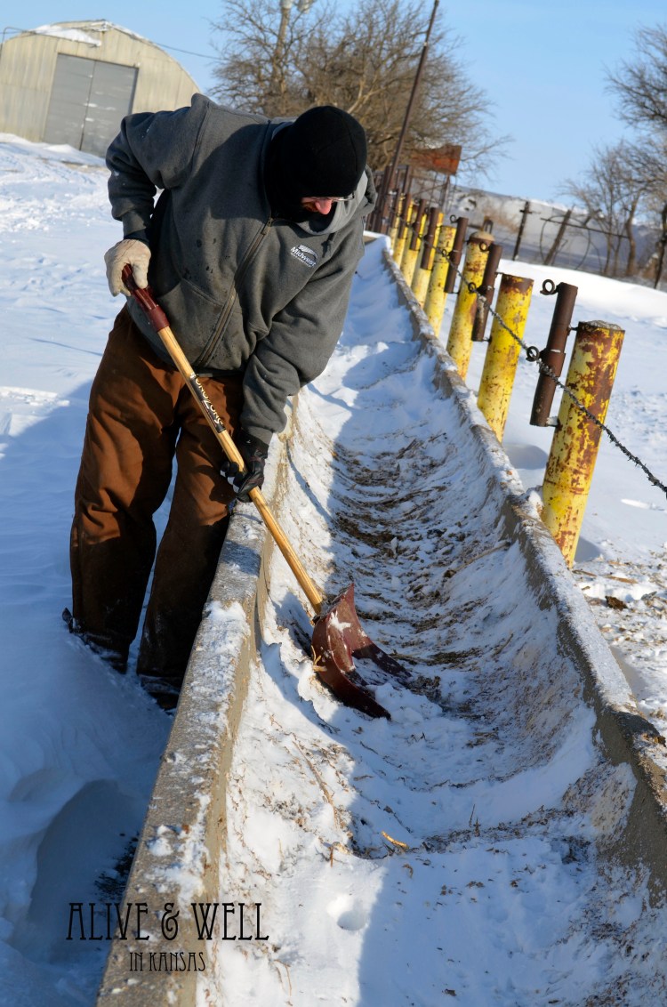 Adam shoveling snow.